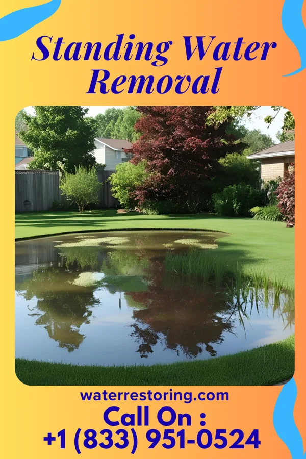 Standing Water Removal in Leith, ND